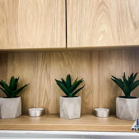 Plecevic Daire Zlatibor