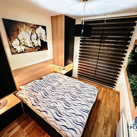Apartment Plecevic Zlatibor